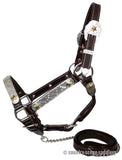 *Showman leather double stitched silver and gold star horse. - Country Scene Saddlery and Pet Supplies