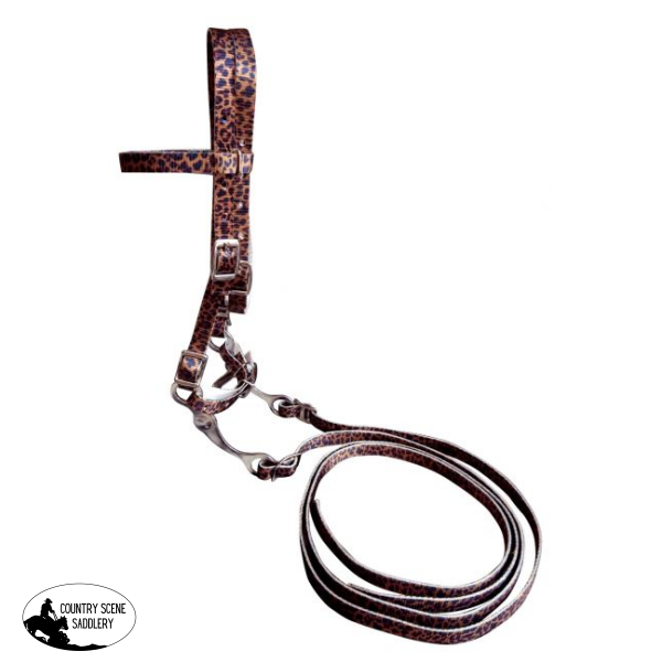 New! Showman Pony Size Premium Nylon Browband Horse Wear