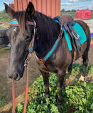 Showman ® Filigree Headstall and Breast Collar Set. - Country Scene Saddlery and Pet Supplies