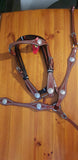 NEW! Showman ® Headstall and breast collar set with silver conchos. - Country Scene Saddlery and Pet Supplies
