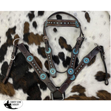 NEW! Showman ®  Large Pony/ Small Horse size Dark brown leather headstall and breast collar set with painted turquoise flower and turquoise stones. - Country Scene Saddlery and Pet Supplies