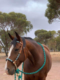Showman ® leather bosal headstall. - Country Scene Saddlery and Pet Supplies