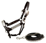 *Showman ® leather full horse size silver show halter. - Country Scene Saddlery and Pet Supplies