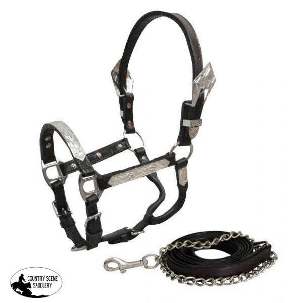 New! Showman ® Mini Dark Leather Show Halter With Lead. Show Halters
