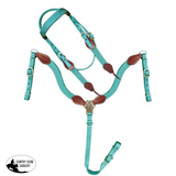 New! Showman ® Nylon Brow Band Headstall and Breast collar set with leather accents. - Country Scene Saddlery and Pet Supplies