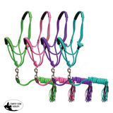 New! Showman ® Pony Braided nylon cowboy knot rope Halter with lead. - Country Scene Saddlery and Pet Supplies