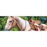 New! Silver Royal Youth Bee Saddle Barrel Saddle
