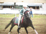 New! Dolan Small Child, Youth Junior Drafter - Country Scene Saddlery and Pet Supplies