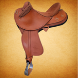 Best Seller Sc Competition Model