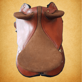 New! Southern Cross Drafter - Country Scene Saddlery and Pet Supplies