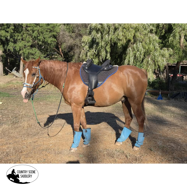 Southern Cross endurance saddle (Free Postage) Endurance Fender