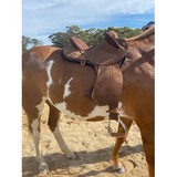 New! Southern Cross Work Saddle (Free Postage) From