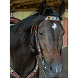 New! Southwestern Beaded Western Bridles
