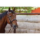 New! Southwestern Beaded Western Bridles