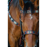New! Southwestern Beaded Western Bridles