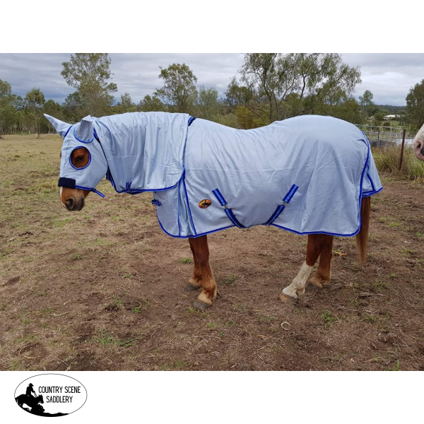 New Stock 430 Gsm Uv Treated Airmesh Hooded Combo Horse Rugs