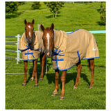 New! Stradbroke Combo (Jute)