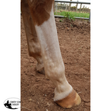 🐎 NEW! Supa Sox Grooming