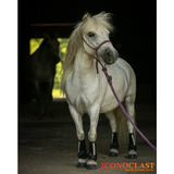 New! Support Boots Front (Black) - Country Scene Saddlery and Pet Supplies