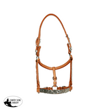 NEW! Syd Hill Buller Show Halter - Country Scene Saddlery and Pet Supplies