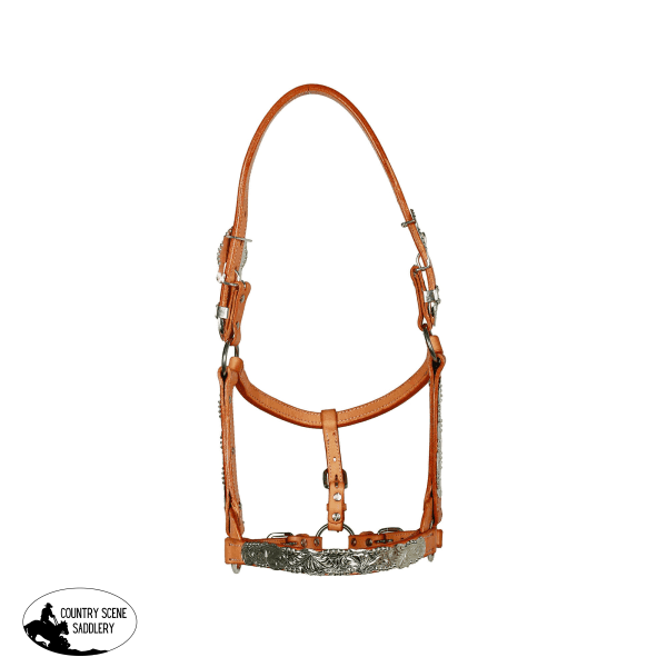 Syd Hill Buller Show Halter Western Halters