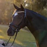 New! Syd Hill Convertible Bridle- Black Black / Pony Endurance Bridle
