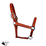 NEW! Syd Hill Cooroy Track Halter - Country Scene Saddlery and Pet Supplies