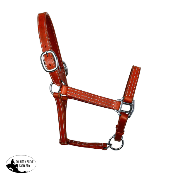 Syd Hill Cooroy Track Halter Bosal Set