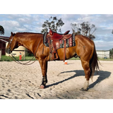 New! Syd Hill Flinders All Rounder Western Saddle - Country Scene Saddlery and Pet Supplies