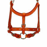 NEW! Syd Hill Lyell Show Halter-Tan - Country Scene Saddlery and Pet Supplies