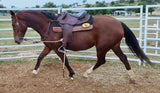 Syd Hill Premium Half Breed with Adjustable Tree Leather - Country Scene Saddlery and Pet Supplies
