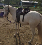 Syd Hill Premium Half Breed with Adjustable Tree Leather - Country Scene Saddlery and Pet Supplies
