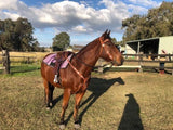 Syd Hill Premium Half Breed with Adjustable Tree Leather - Country Scene Saddlery and Pet Supplies