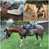 Syd Hill Premium Half Breed with Adjustable Tree Leather - Country Scene Saddlery and Pet Supplies