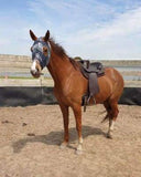 Syd Hill Premium Half Breed with Adjustable Tree Leather - Country Scene Saddlery and Pet Supplies
