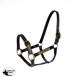 NEW! Syd Hill PVC Halter with Nameplate - Country Scene Saddlery and Pet Supplies