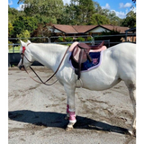 New! Syd Hill Regal Dressage Saddle Free Postage - Country Scene Saddlery and Pet Supplies