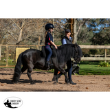 NEW! Syd Hill Shepherd Support Saddle - One Size / Black - Jumping Saddle