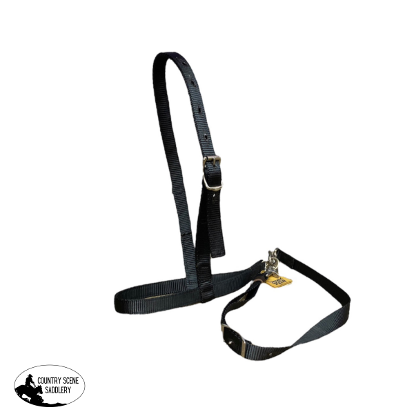 New! T000 - Aust Made Black Nylon noseband and tiedown Tie Down Straps