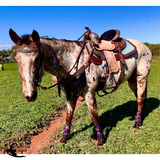 New! Tough1 Delilah 3-Piece Tack Set - Full/cob - Tack Sets