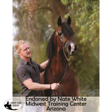 New! Victor Supreme Gene LaCroix Arabian Training Headstall - Country Scene Saddlery and Pet Supplies