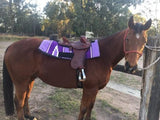 New! Southern Cross Youth Half Breed - Country Scene Saddlery and Pet Supplies