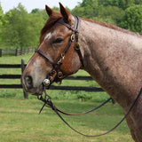 Billy Royal® Dark Oil Harness Leather Reins - Country Scene Saddlery and Pet Supplies