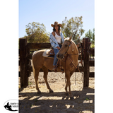 Nikki Reed Bayou Solstice Headstal