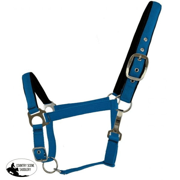 New! Nylon Adjustable Nose Halter Posted.* Horse / Blue Halters