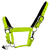 New! Nylon Adjustable Nose Halter Posted.* Horse / Lime Halters