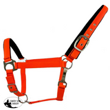 Nylon adjustable nose halter - Country Scene Saddlery and Pet Supplies