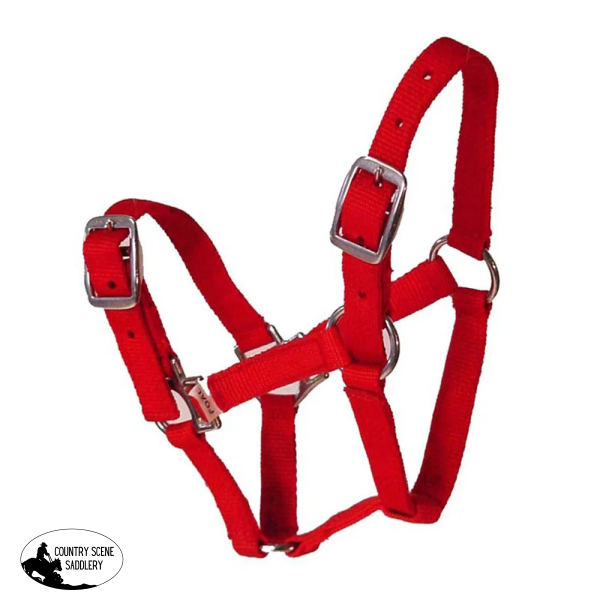 Nylon Foal Halter