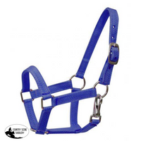 New! Nylon Halter. Mini / Blue Pony Showman Halters