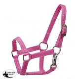 New! Nylon Halter. Mini / Pink Pony Showman Halters